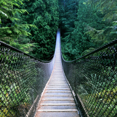 Lynn Canyon Suspension Bridge, North Vancouver, Canada