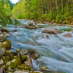Mountain river in Lynn Canyon park at North Vancouver, Canada.