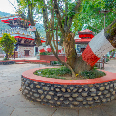 POKHARA, NEPAL - SEPTEMBER 04, 2017: Public jarden with a huge tree close to Tal Barahi Temple, located at the center of Phewa Lake, is the most important religious monument of Pokhara