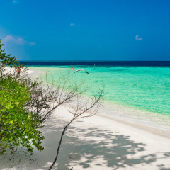 Tropical island vacation image, white sand beach and turquoise blue crystal clear water, Maldives