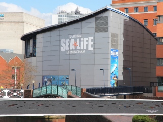 国家海洋生物中心