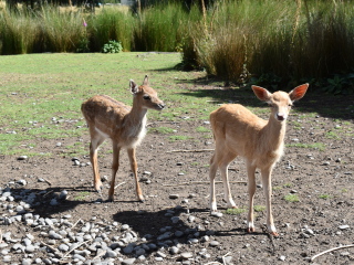 柳岸野生动物保护区