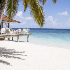 paradisiacal landscape tropical beach in the Maldives