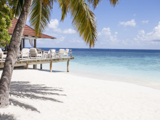 钻石泰达富士岛