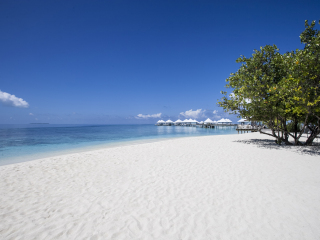 钻石泰达富士岛