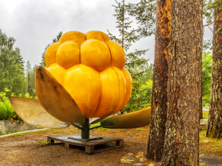 拉努阿野生动物园
