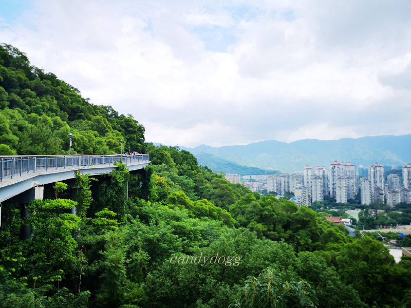 金鸡山公园                      揽城栈道