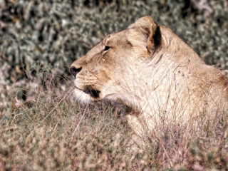 圣瓦里野生动物保护区