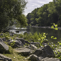 Bow river seen from Prince's Island Park