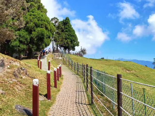 清境农场青青草原