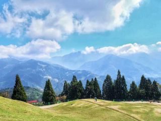 清境农场青青草原