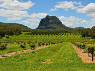 玻璃屋山国家公园