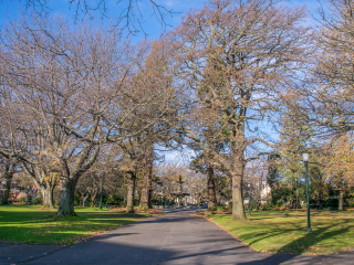 朗塞斯顿城市公园