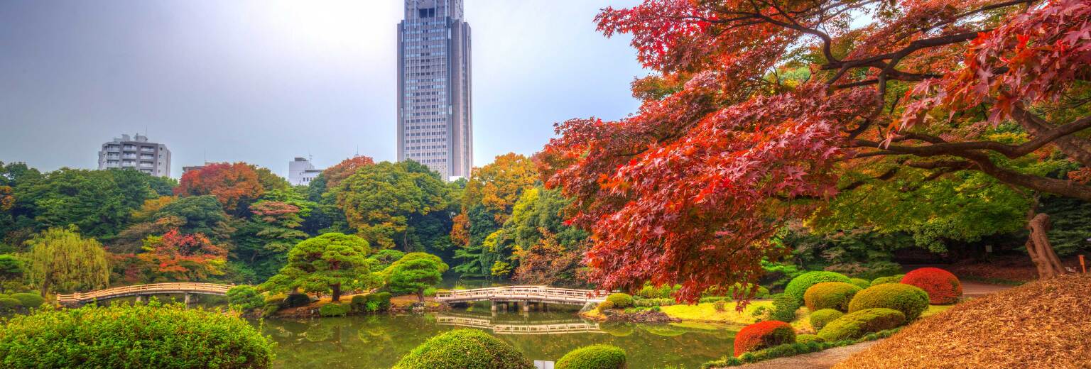 【2019】新宿中央公园旅游攻略_新宿中央公园