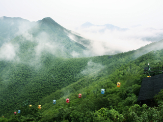 天目湖南山竹海