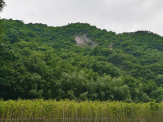 金丝大峡谷国家森林公园