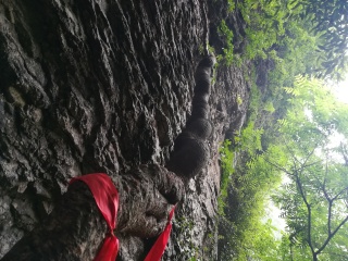 金丝大峡谷国家森林公园