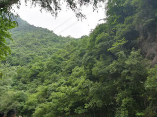 金丝大峡谷国家森林公园