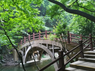 金丝大峡谷国家森林公园