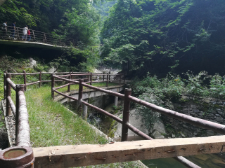 金丝大峡谷国家森林公园