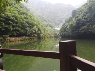 金丝大峡谷国家森林公园