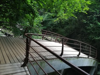 金丝大峡谷国家森林公园