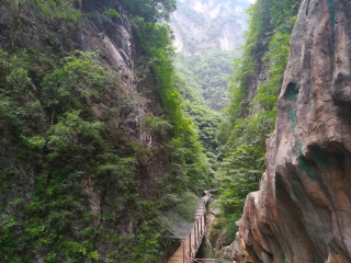 金丝大峡谷国家森林公园