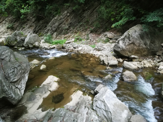 金丝大峡谷国家森林公园