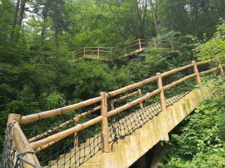 陕西天竺山国家森林公园