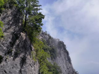 陕西天竺山国家森林公园