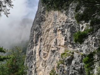 陕西天竺山国家森林公园