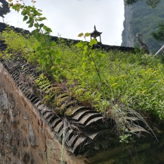 陕西天竺山国家森林公园