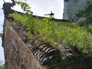 陕西天竺山国家森林公园