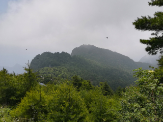 陕西天竺山国家森林公园