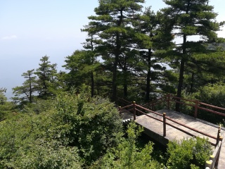 陕西天竺山国家森林公园