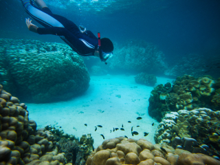 兰卡威水底世界