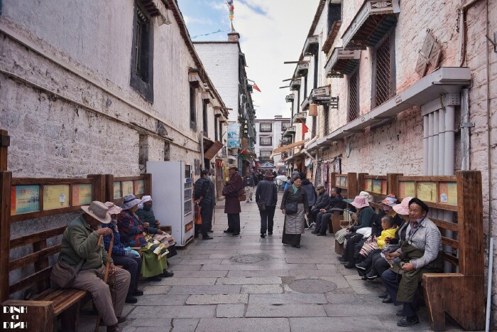 打卡西藏,一生总要去一次的地方(林芝深度游含桃花攻略)【多图】_拉萨