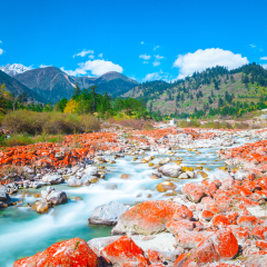 flowing water and beautiful scenery--Hongshitan,Hailuogou,kangding,sichuan,china