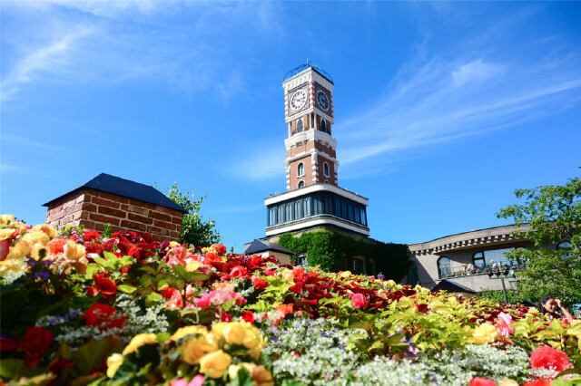 北海道推荐城市 竟然只知道札幌 这几个城市同样非去不可 北海道 攻略 途牛