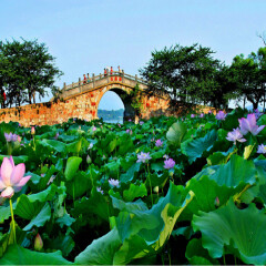 景点模块 