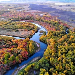 阿尔山国家森林公园