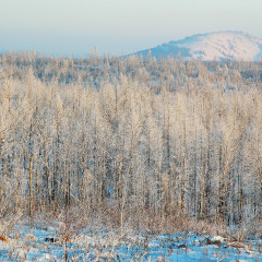 阿尔山国家森林公园