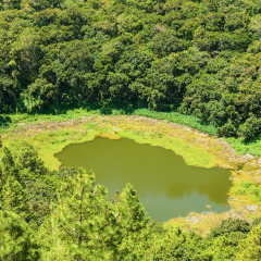 Aerial  view  of Trou Aux Cerf Volcano (also known as Murr's Volcano) in the tropical tropical plants, Mauritius island