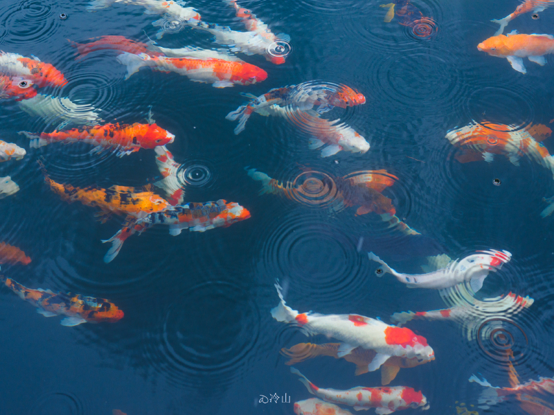 途牛首发 童话云和 浙里山水美 云和湖仙宫游记 途牛 途牛首发 童话云和 浙里山水美 云和湖仙宫游记 途牛