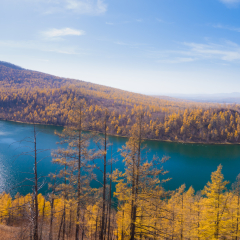秋季的内蒙古阿尔山驼峰岭天池