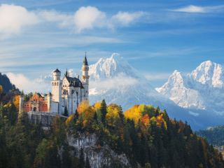 德国天鹅堡啤酒