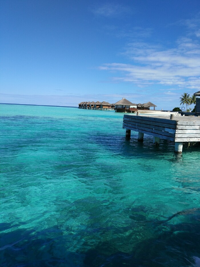 【首发】#春节#有你在永远像初春的清晨---马尔代夫双子岛游