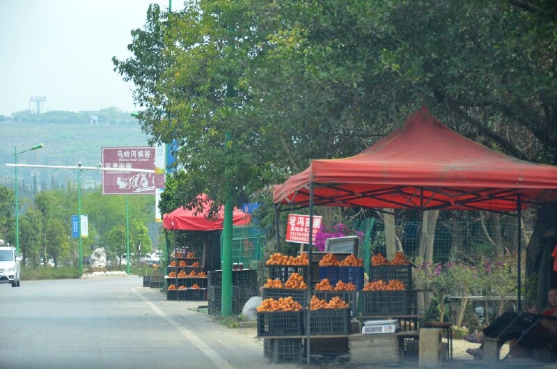 一个多小时的时间,我们来到了马岭河峡谷景区大门外,路边好多卖橘子的