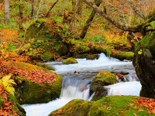奥入濑河