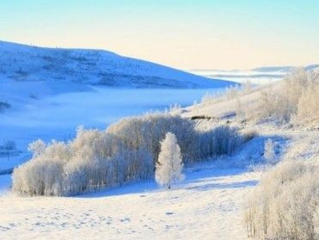 哈尔滨-漠河-北极村双动双卧6日游 漠河北极村